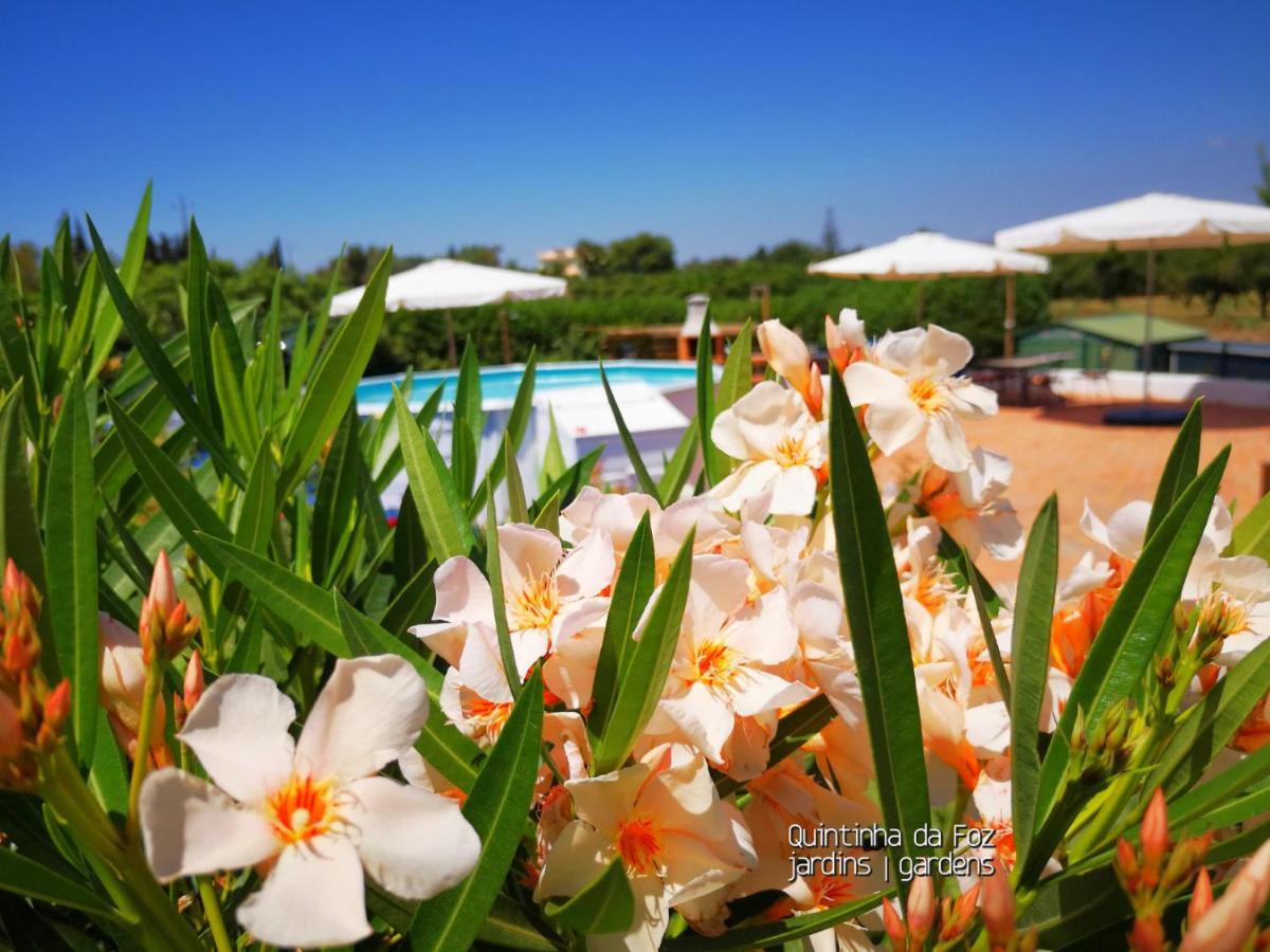 Quintinha Da Foz Guest House Sao Pedro  ภายนอก รูปภาพ