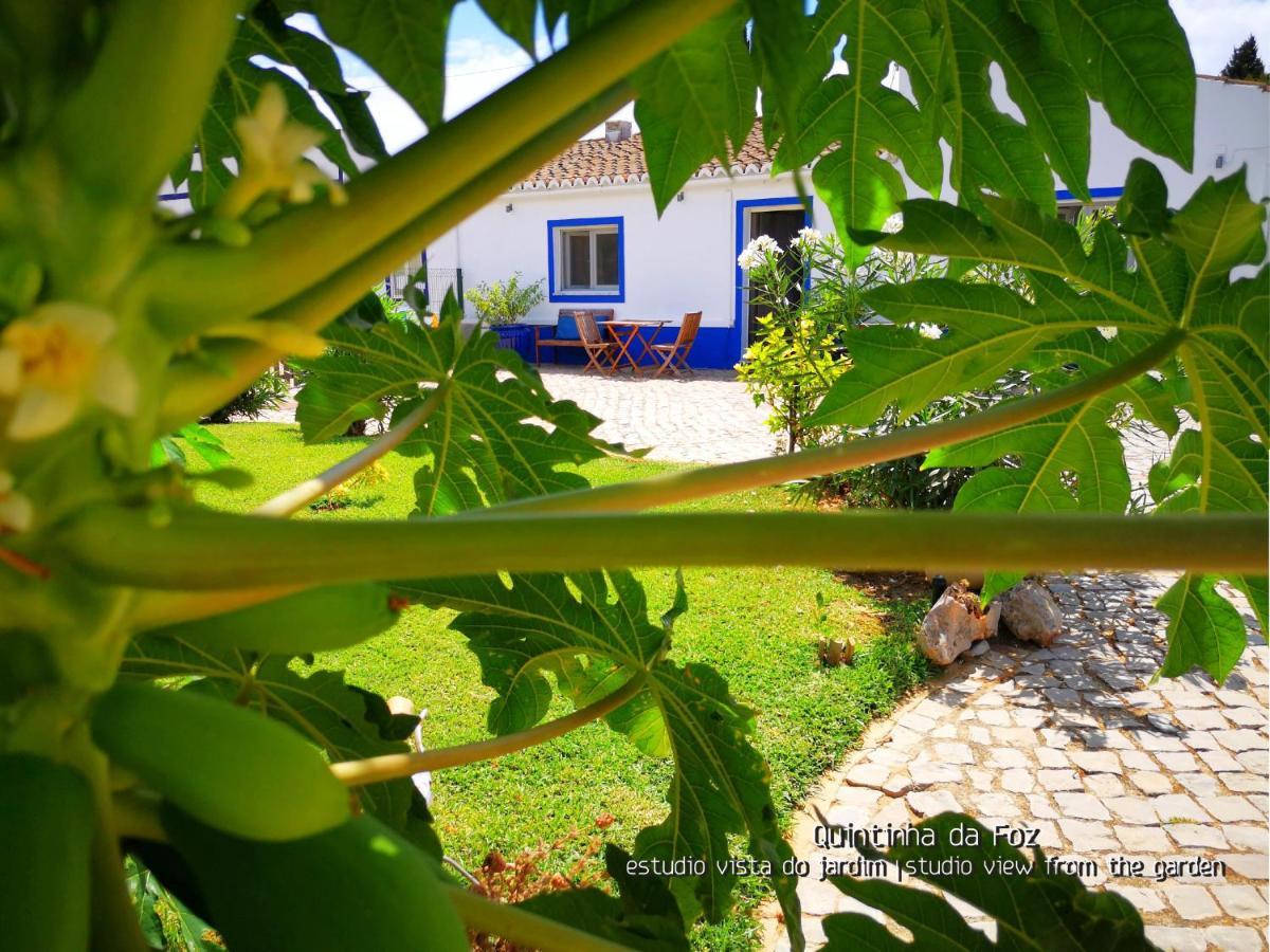 Quintinha Da Foz Guest House Sao Pedro  ภายนอก รูปภาพ